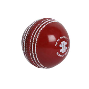 Cricket Practice Ball
